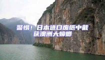 警惕!日本进口废纸中截获澳洲大蟑螂