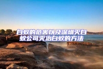 白蚁的危害以及深圳灭白蚁公司灭治白蚁的方法