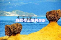 白蚁与土壤的关系