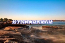 蚊子的种类及灭治方法