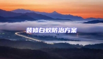 装修白蚁防治方案