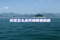 宾馆怎么杀灭蟑螂最彻底