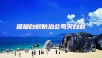 深圳白蚁防治公司灭白蚁-
