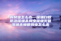 有臭虫怎么办—深圳白蚁防治深圳杀臭虫深圳灭鼠深圳杀蟑螂臭虫怎么杀