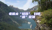 老板太“轻敌” 白蚁“啃”穿墙