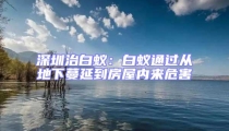 深圳治白蚁:白蚁通过从地下蔓延到房屋内来危害