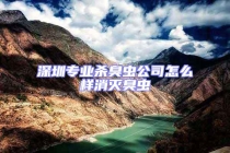 深圳专业杀臭虫公司怎么样消灭臭虫