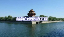新的白蚁防治工程