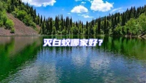 灭白蚁哪家好?