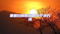 果园白蚁防治的六个小方法