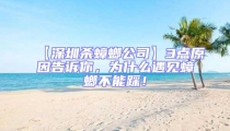 【深圳杀蟑螂公司】3点原因告诉你，为什么遇见蟑螂不能踩！
