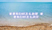 家里有白蚁怎么处理 家里有白蚁怎么消灭