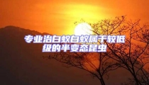 专业治白蚁白蚁属于较低级的半变态昆虫