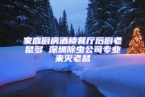 家庭厨房酒楼餐厅后厨老鼠多 深圳除虫公司专业来灭老鼠