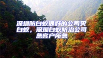 深圳防白蚁很好的公司灭白蚁，深圳白蚁防治公司急客户所急