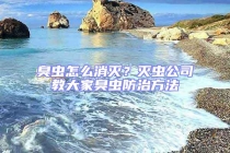 臭虫怎么消灭？灭虫公司教大家臭虫防治方法