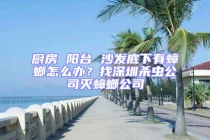 厨房 阳台 沙发底下有蟑螂怎么办？找深圳杀虫公司灭蟑螂公司