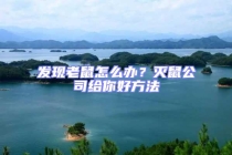 发现老鼠怎么办？灭鼠公司给你好方法