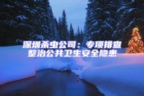 深圳杀虫公司：专项排查整治公共卫生安全隐患