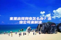 家里出现臭虫怎么办？杀虫公司来解决