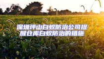 深圳坪山白蚁防治公司提醒仓库白蚁防治的措施