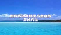 如何防治老鼠进入室内的最佳方法