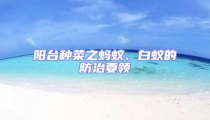 阳台种菜之蚂蚁、白蚁的防治要领