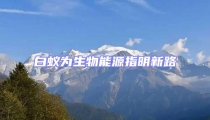 白蚁为生物能源指明新路