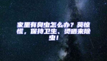家里有臭虫怎么办？莫惊慌，保持卫生、烫晒来除虫！