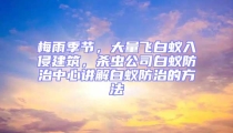 梅雨季节,大量飞白蚁入侵建筑,杀虫公司白蚁防治中心讲解白蚁防治的方法