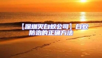 【深圳灭白蚁公司】白蚁防治的正确方法