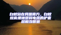 白蚁站在我国南方,白蚁蛀食埋地塑料电缆的护套层相当普遍