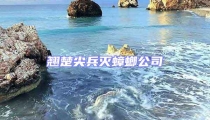 翘楚尖兵灭蟑螂公司