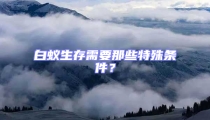 白蚁生存需要那些特殊条件?