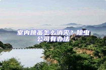 室内跳蚤怎么消灭？除虫公司有办法