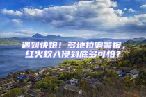 遇到快跑！多地拉响警报，红火蚁入侵到底多可怕？