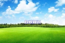 白蚁知识