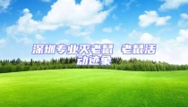 深圳专业灭老鼠 老鼠活动迹象