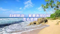白蚁防治:家里发现白蚁怎么处理