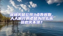 深圳灭鼠公司3点告诉你,人人喊打的老鼠为什么永远也灭不绝?