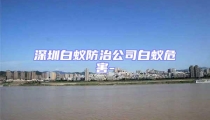 深圳白蚁防治公司白蚁危害-