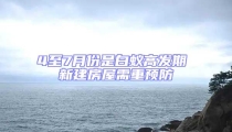 4至7月份是白蚁高发期 新建房屋需重预防
