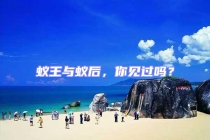 蚁王与蚁后，你见过吗？