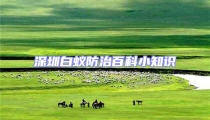 深圳白蚁防治百科小知识
