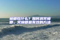 蟑螂吃什么？如何消灭蟑螂，灭蟑螂最有效的方法