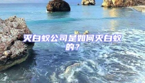 灭白蚁公司是如何灭白蚁的?