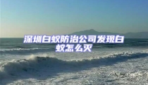 深圳白蚁防治公司发现白蚁怎么灭