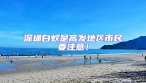 深圳白蚁是高发地区市民要注意!