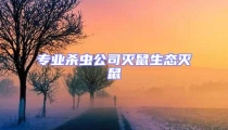 专业杀虫公司灭鼠生态灭鼠