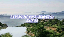 白蚁防治白蚁与其他昆虫的区别
